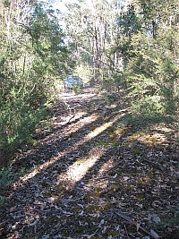 VVic - Simpsons Creek - Joiners Rd western abandoned section 3 (9 Feb 2010)
